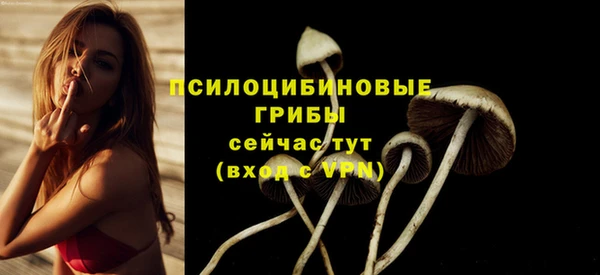 spice Ладушкин