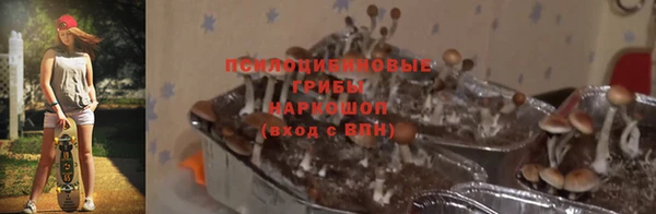 spice Ладушкин
