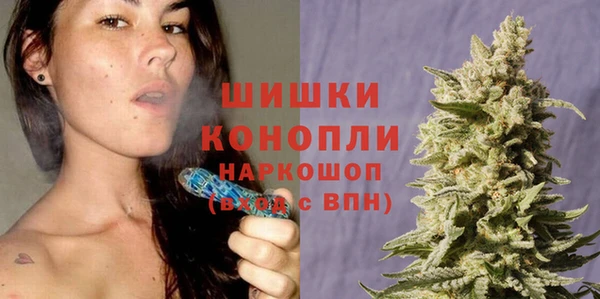 spice Ладушкин