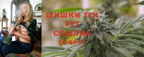 тгк Лагань